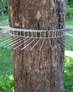 Tree Collar